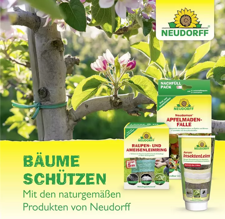 Neudomon Apfelmadenfalle