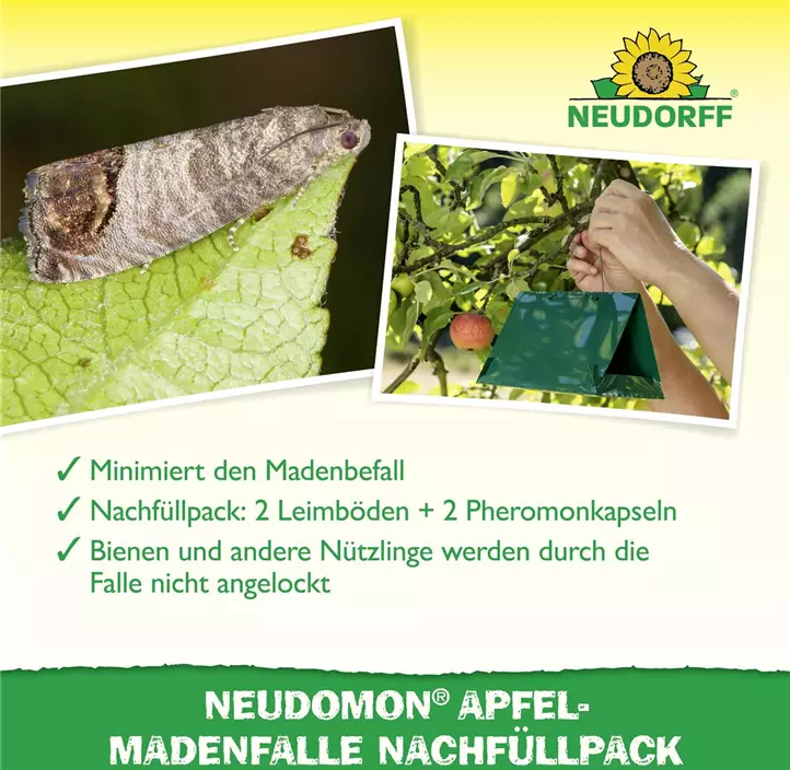 Neudomon Apfelmadenfalle Nachfüllung