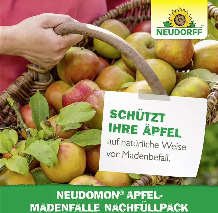 Neudomon Apfelmadenfalle Nachfüllung