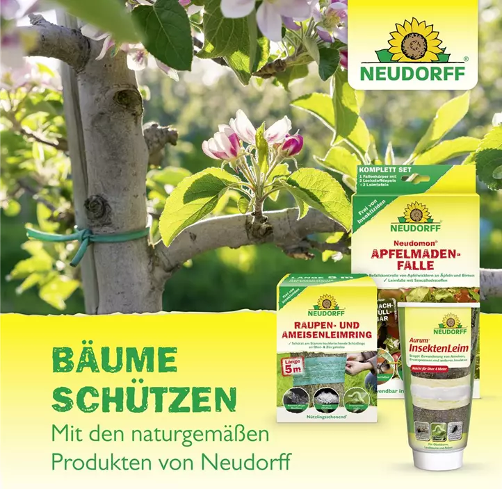 Neudomon Apfelmadenfalle Nachfüllung