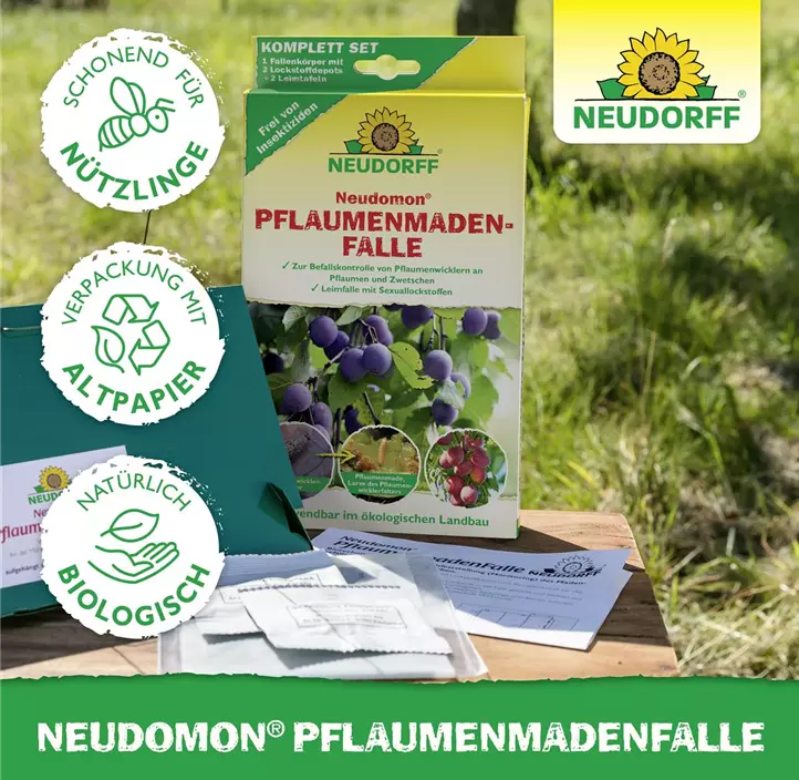 Neudomon Pflaumenmadenfalle