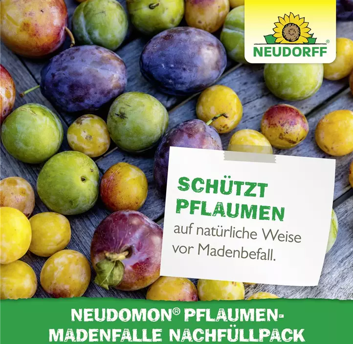 Neudomon Pflaumenmadenfalle Nachfüllung