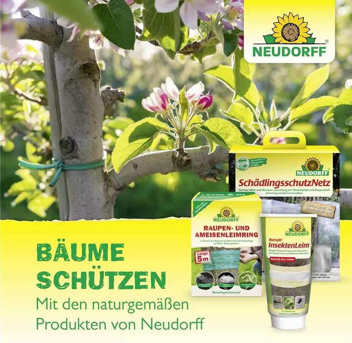 Neudomon Pflaumenmadenfalle Nachfüllung