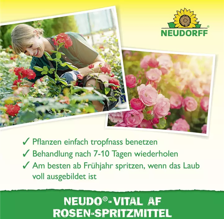 Neudo-Vital AF Rosen-Spritzmittel