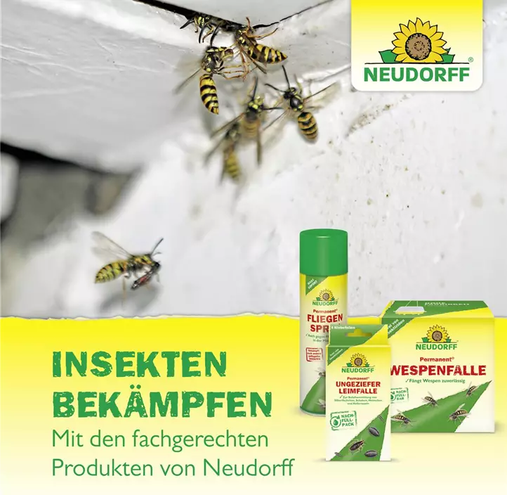 Permanent Gelsen & Tigermücken Spray