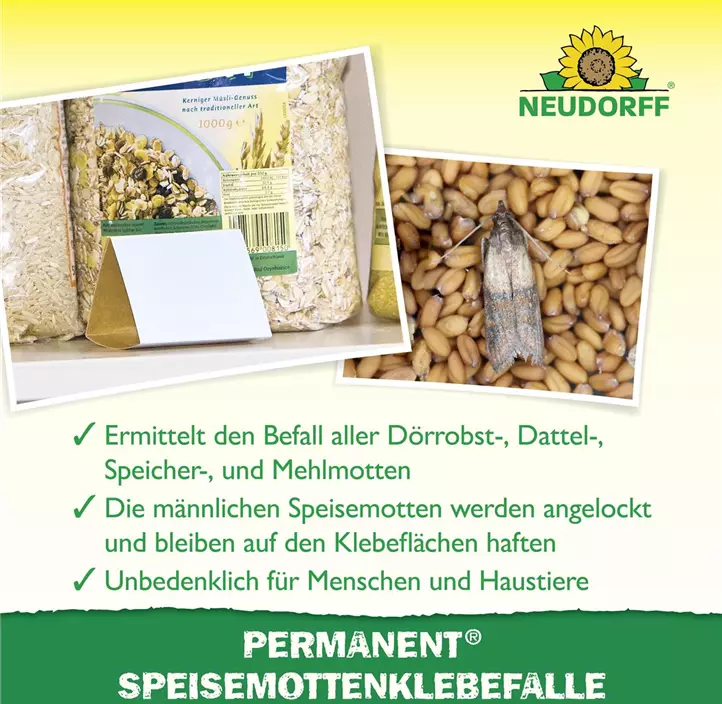 Permanent Speisemotten-Klebefalle