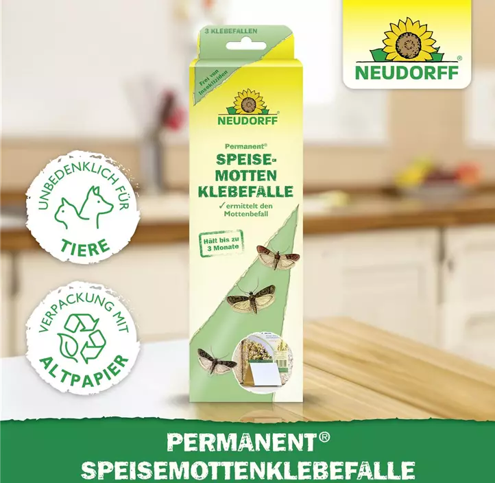 Permanent Speisemotten-Klebefalle