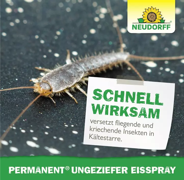 Permanent UngezieferEisSpray