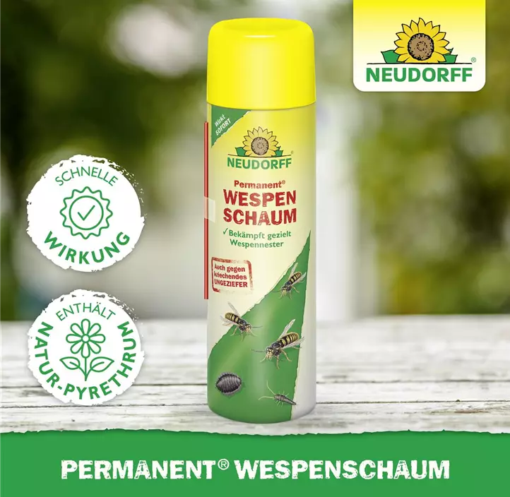 Permanent WespenSchaum