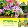 bellaflora Gartencenter GmbH