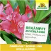 bellaflora Gartencenter GmbH