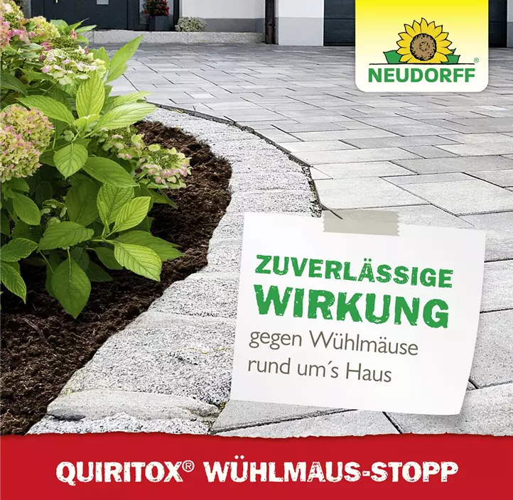 Quiritox Wühlmausstopp