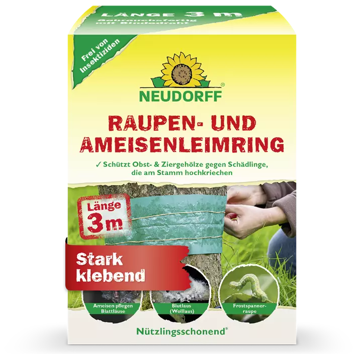 Raupen- und Ameisenleimring