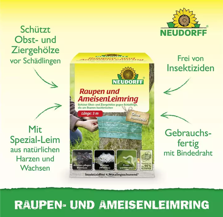 Raupen- und Ameisenleimring