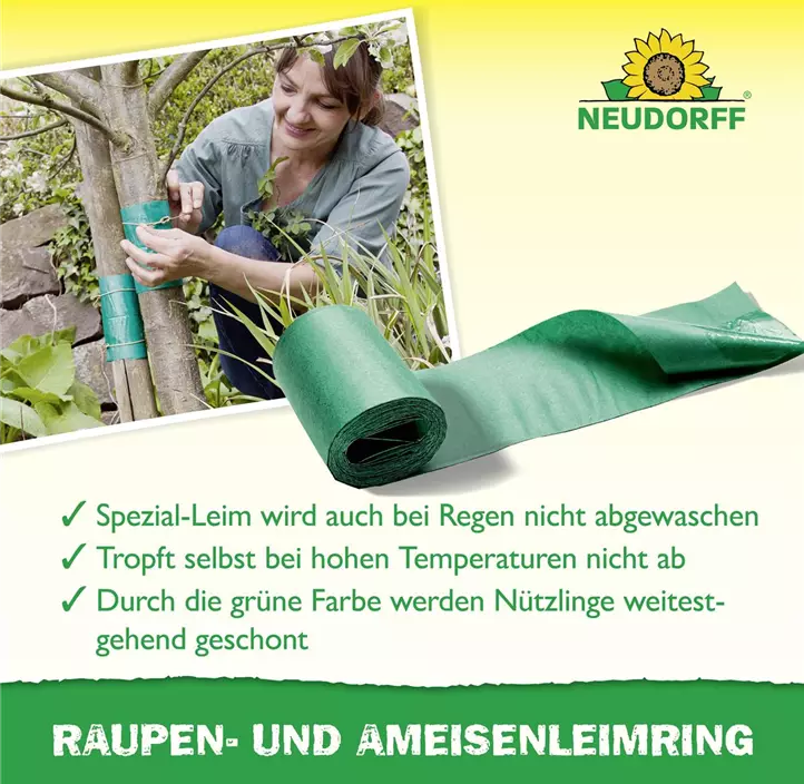 Raupen- und Ameisenleimring