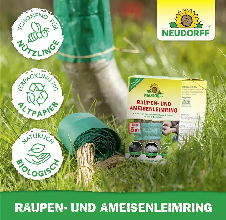 Raupen- und Ameisenleimring