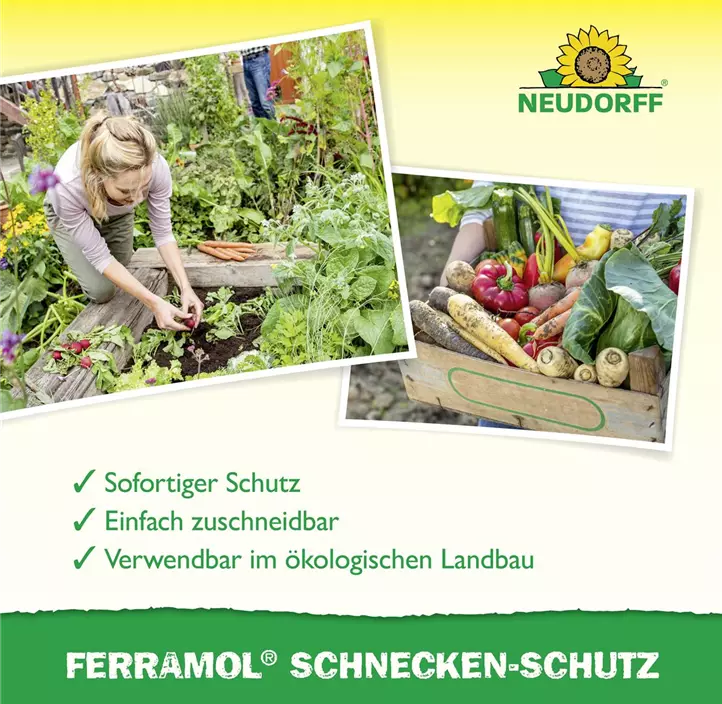 Schnecken -Schutz