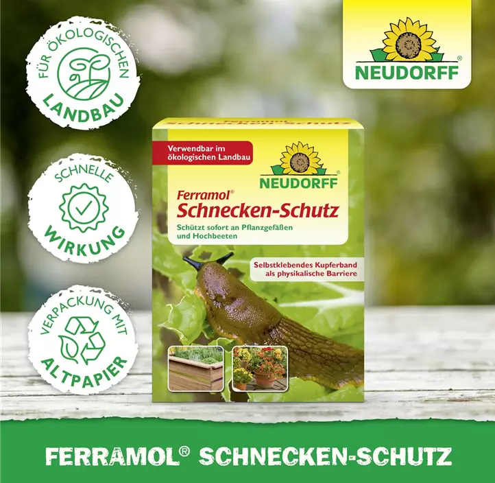 Schnecken -Schutz