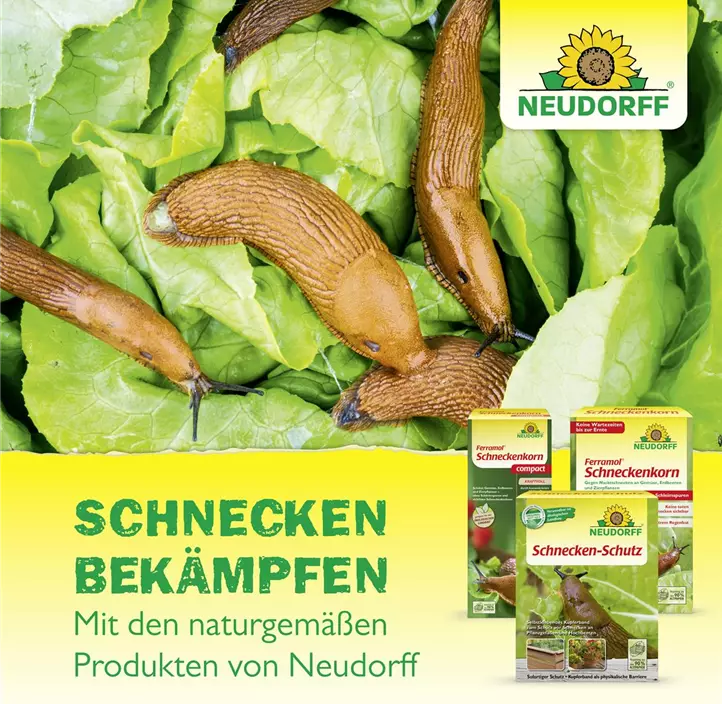 Schnecken -Schutz