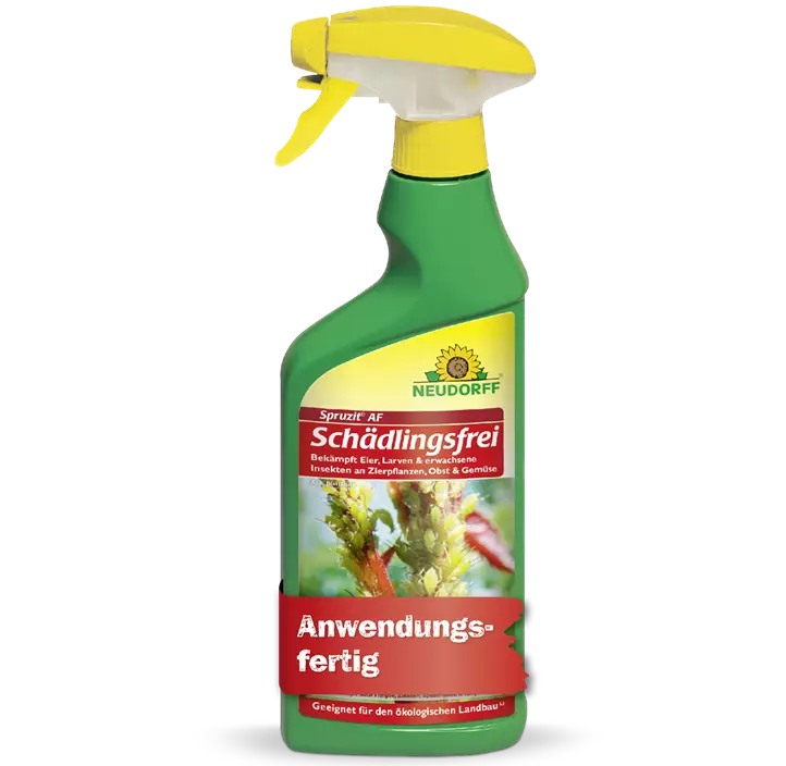 Spruzit AF Schädlingsfrei