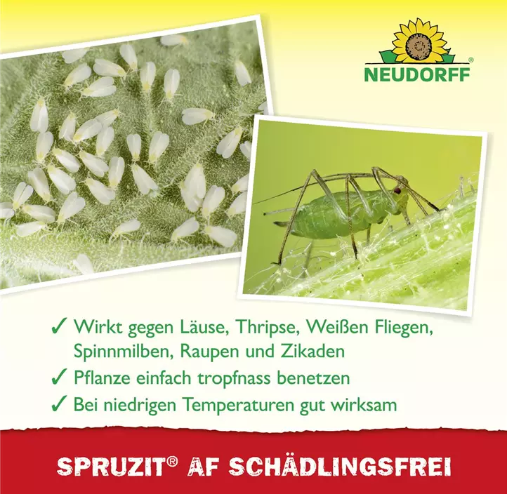 Spruzit AF Schädlingsfrei