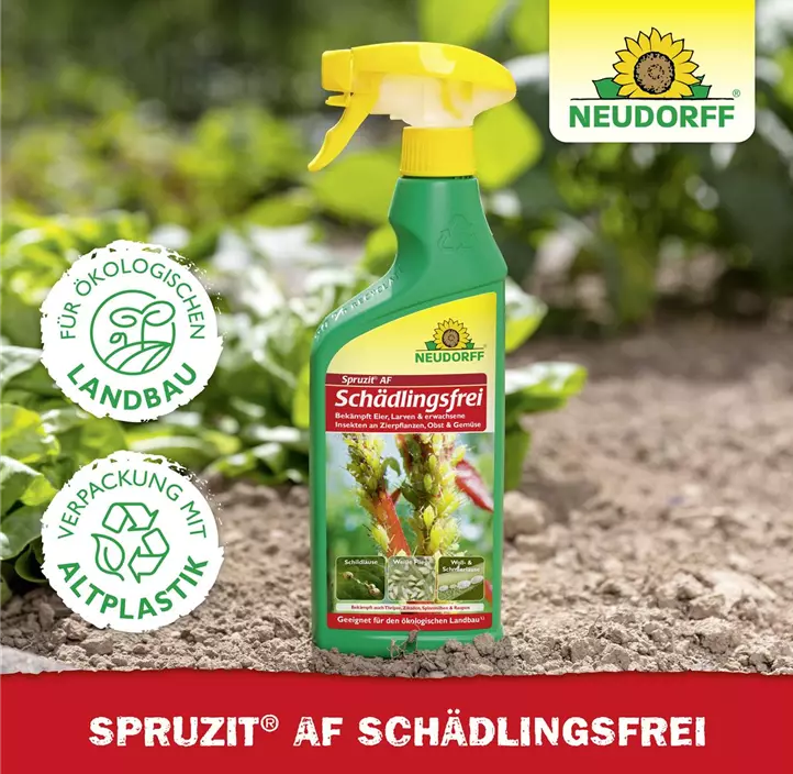 Spruzit AF Schädlingsfrei