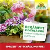 bellaflora Gartencenter GmbH