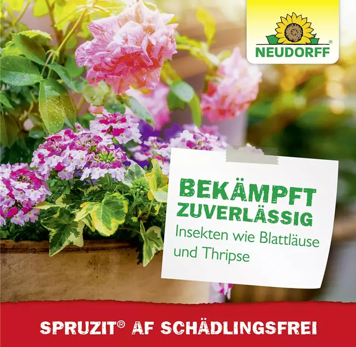 Spruzit AF Schädlingsfrei
