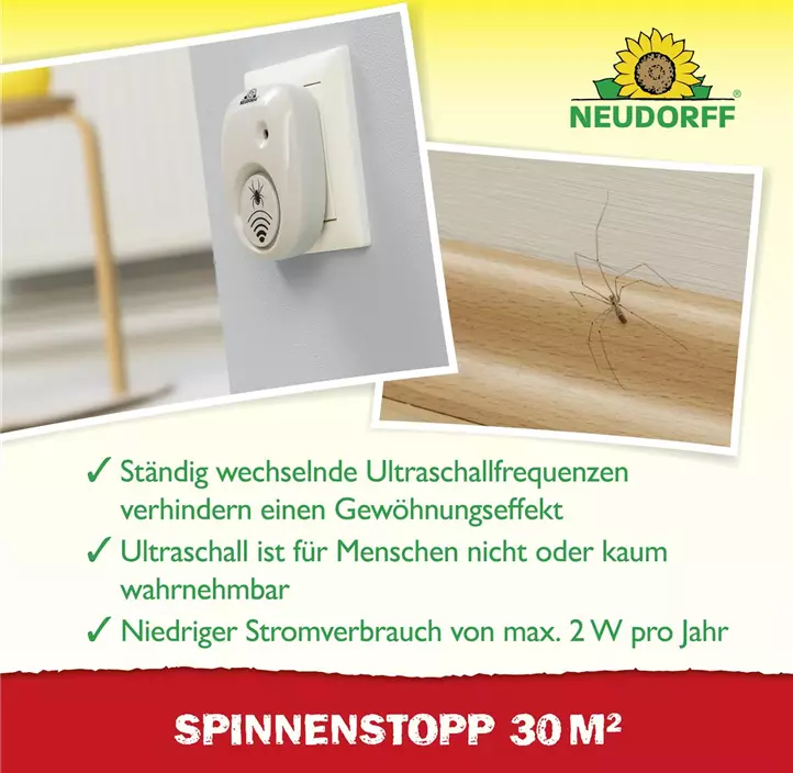 SpinnenStopp
