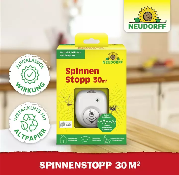 SpinnenStopp