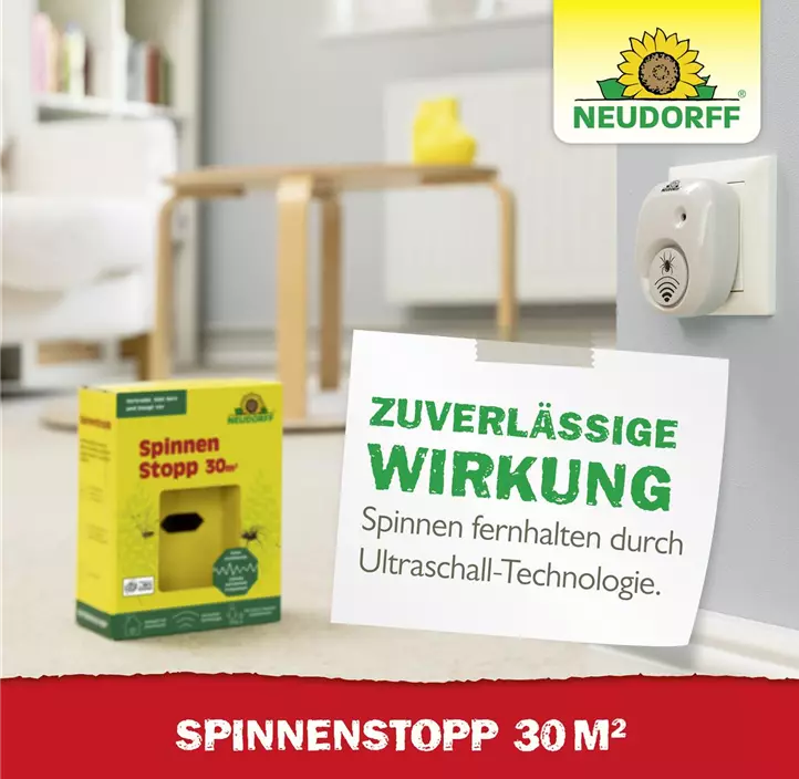 SpinnenStopp