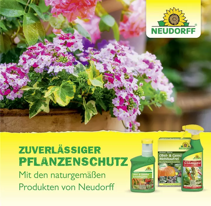 Spruzit Neem ZierpflanzenSchädlingsfrei