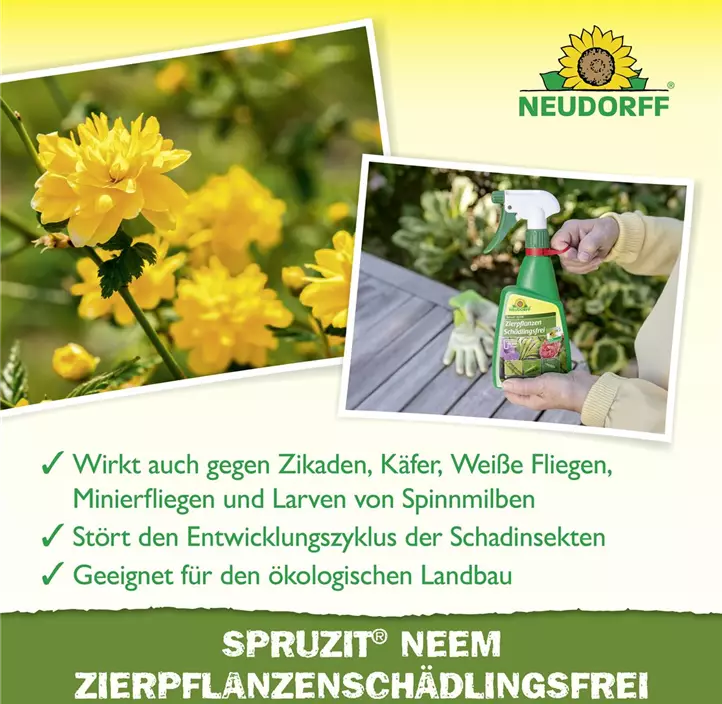 Spruzit Neem ZierpflanzenSchädlingsfrei