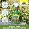 bellaflora Gartencenter GmbH
