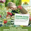 bellaflora Gartencenter GmbH