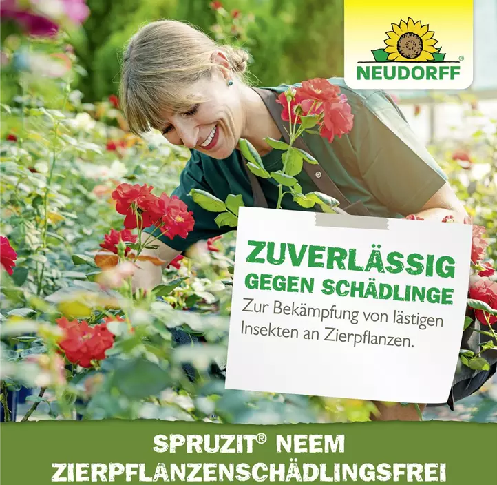 Spruzit Neem ZierpflanzenSchädlingsfrei