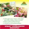 bellaflora Gartencenter GmbH