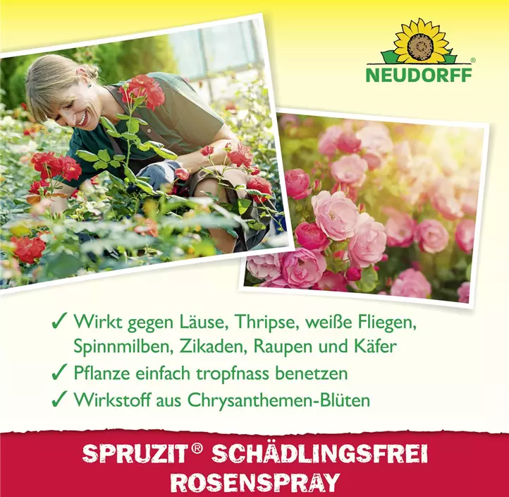 Spruzit Schädlingsfrei RosenSpray