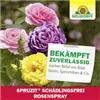 bellaflora Gartencenter GmbH