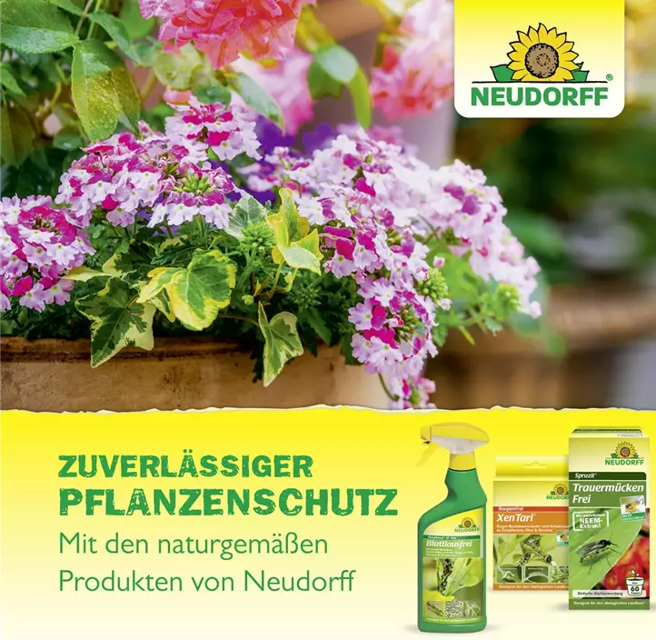 Spruzit Schädlingsfrei, 100 ml