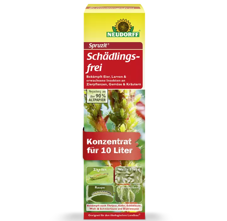 Spruzit Schädlingsfrei, 100 ml
