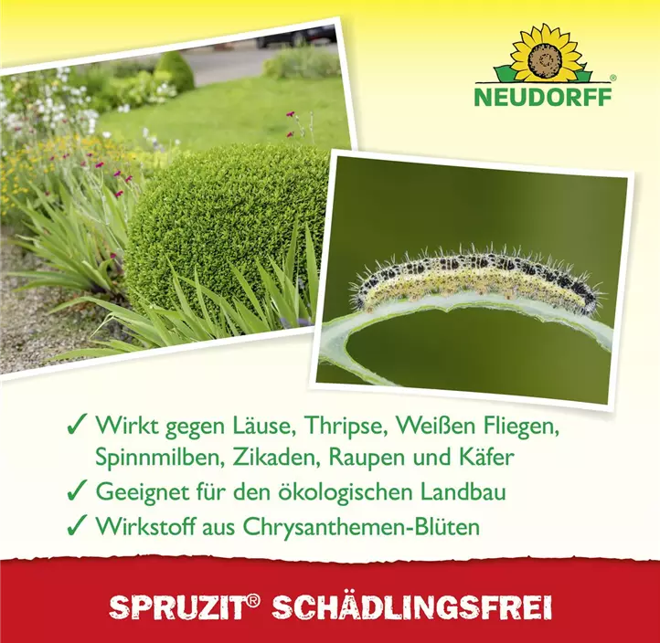Spruzit Schädlingsfrei, 250 ml