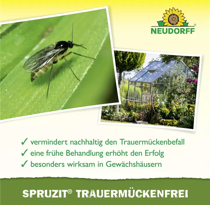 Spruzit Trauermückenfrei