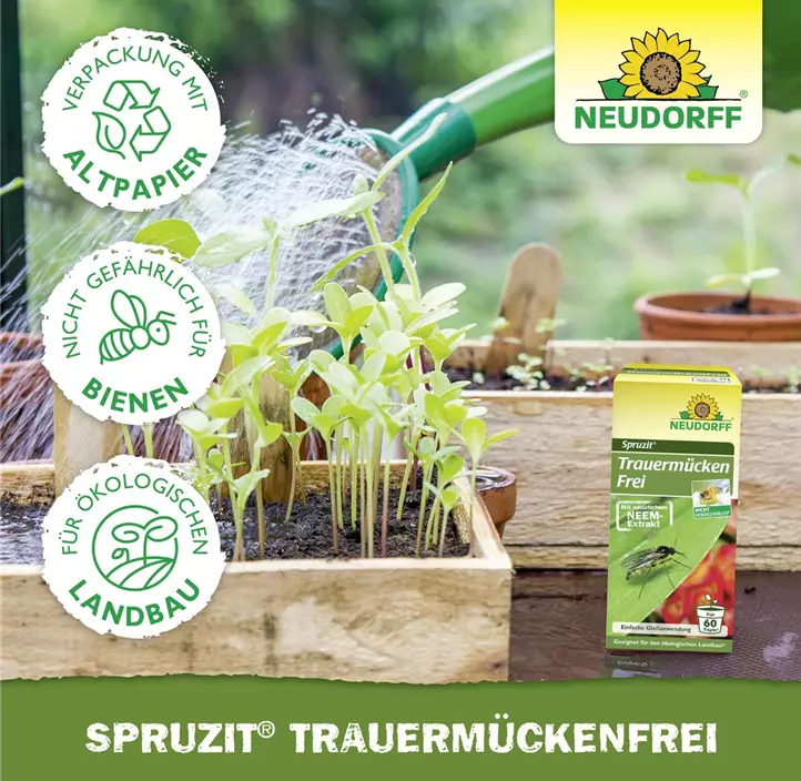 Spruzit Trauermückenfrei