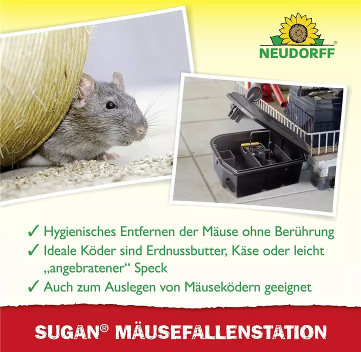 Sugan Mäusefalle Station