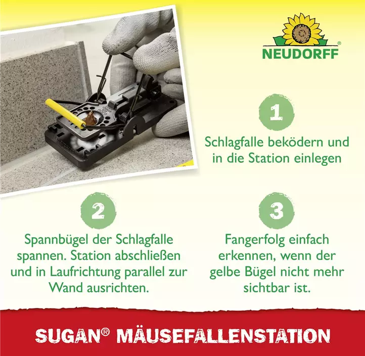 Sugan Mäusefalle Station