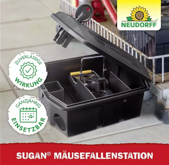 Sugan Mäusefalle Station
