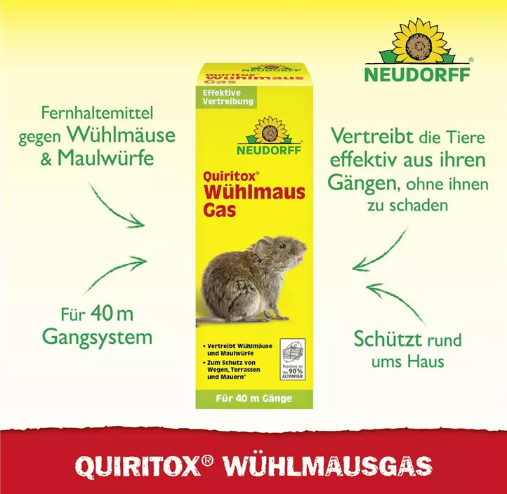 Wühlmausgas 2 Kartuschen