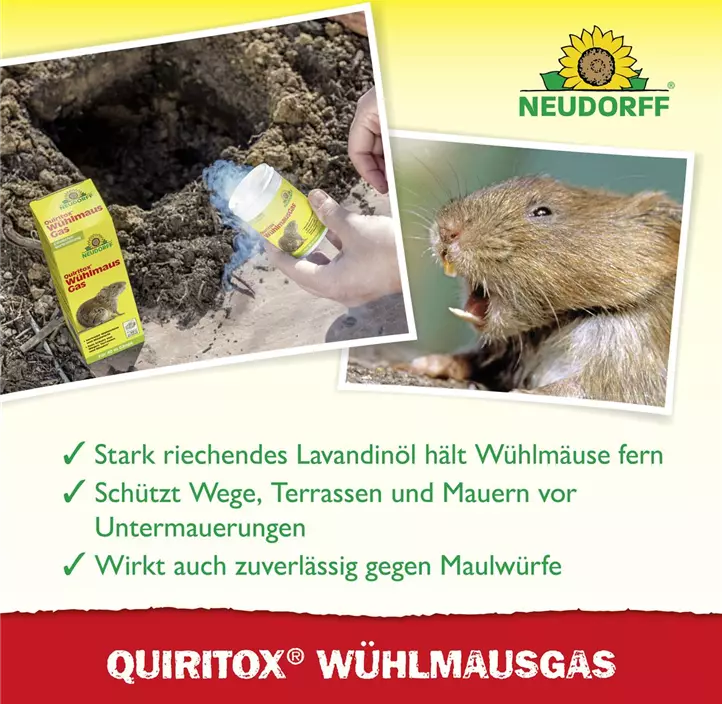 Wühlmausgas 2 Kartuschen