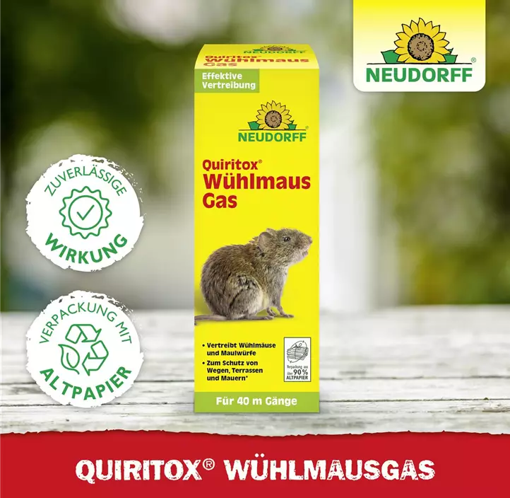 Wühlmausgas 2 Kartuschen